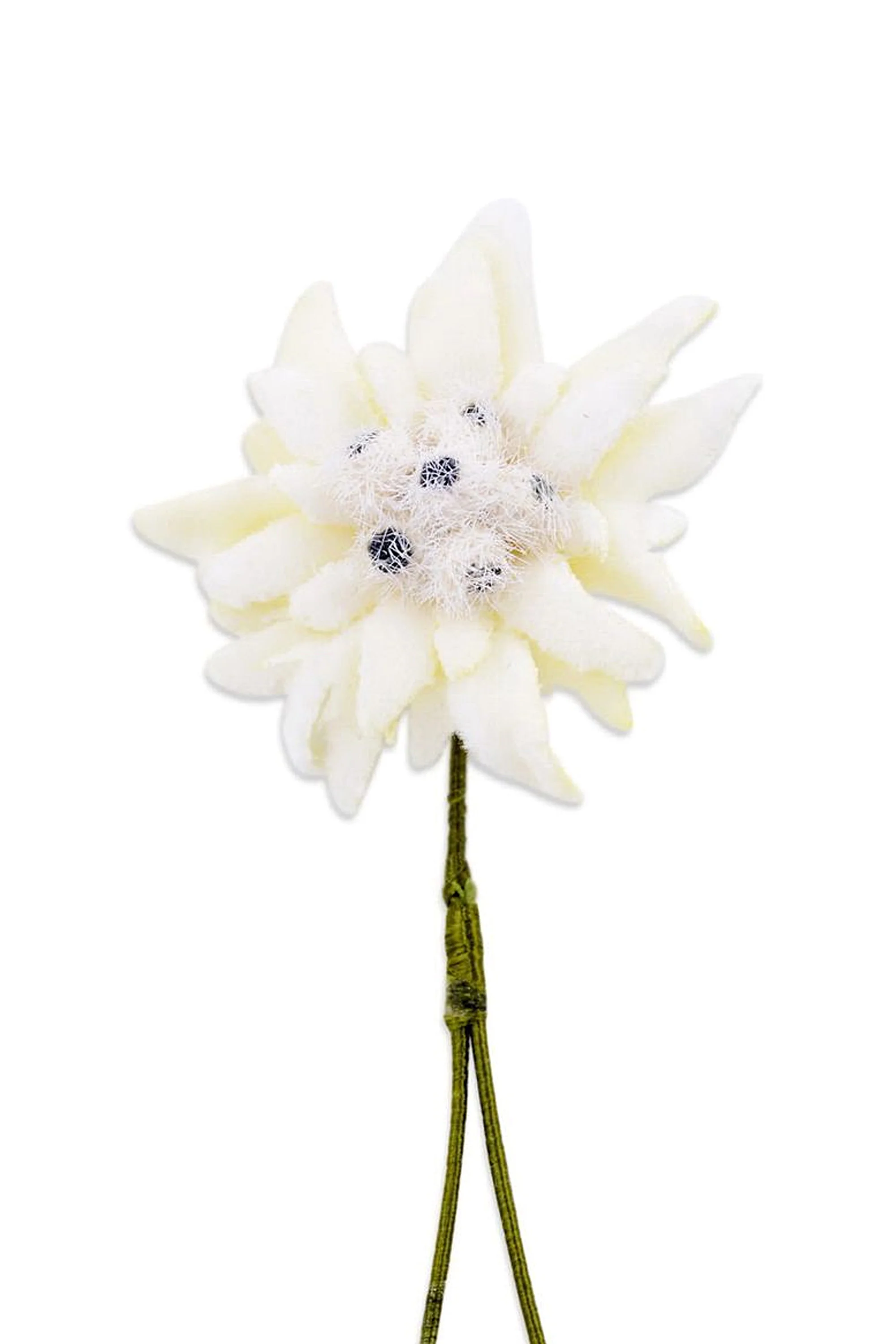 Aspiring Gent Boutonnieres Bundle - Image 5